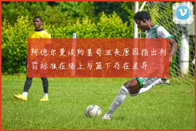 阿德尔曼谈约基奇沮丧原因指出判罚标准在场上与篮下存在差异